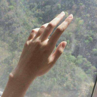 im电竞·(中国)官方网站