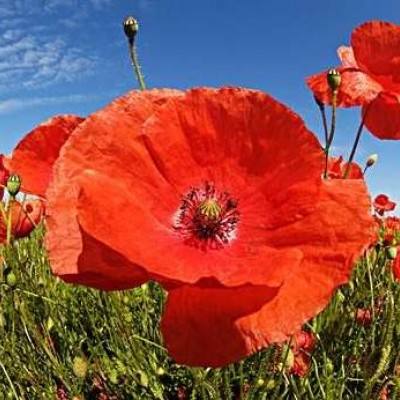 新188app官网下载